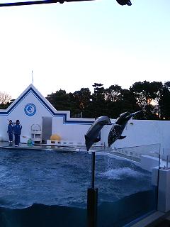 f0015381_1405068.jpg