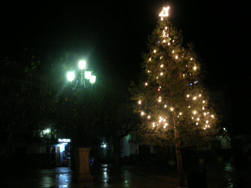 e0061699_8554234.jpg