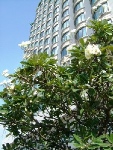 e0007801_12555629.jpg