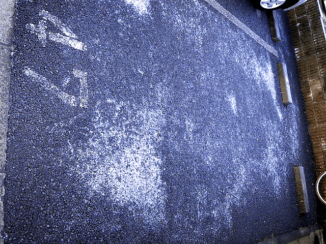 a0006605_11453892.gif
