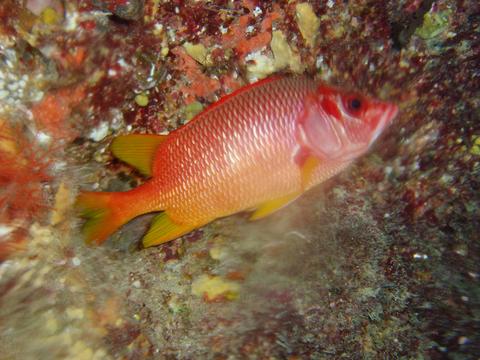 a0000014_23432287.jpg