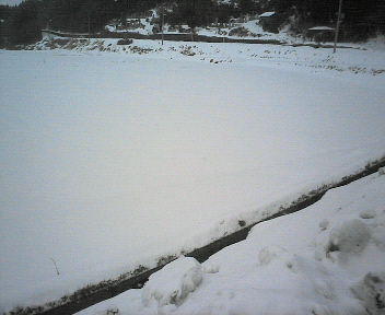 d0013816_21233024.jpg
