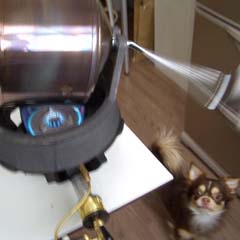 c0036617_805469.jpg
