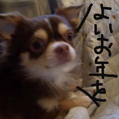 c0036617_8471712.jpg