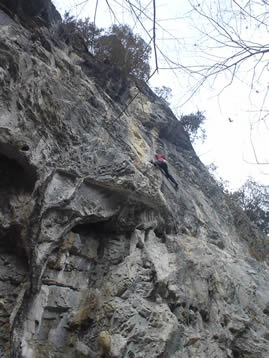 e0038425_9371831.jpg