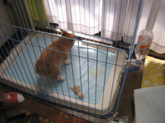 e0077528_16494321.jpg