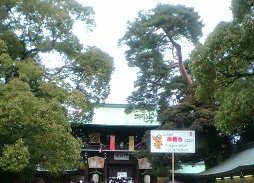 b0029438_23414858.jpg