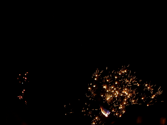 d0024140_1164083.jpg