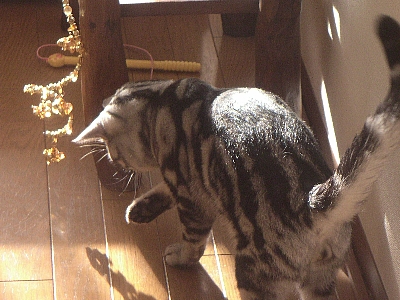 c0024245_15143825.jpg