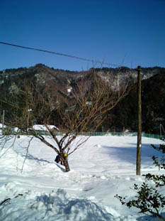 b0028347_14943.jpg