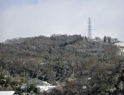 a0001354_16492183.jpg