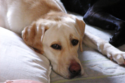 c0071866_2337044.jpg