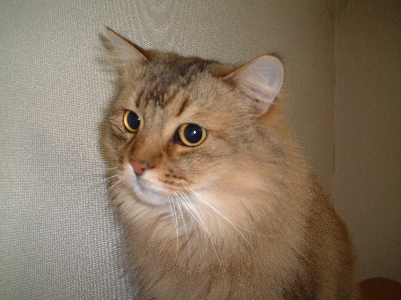 a0045990_2571937.jpg