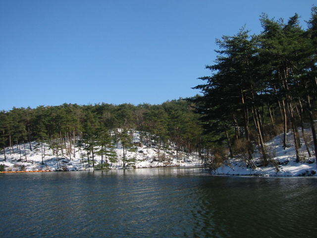 d0042500_1103487.jpg