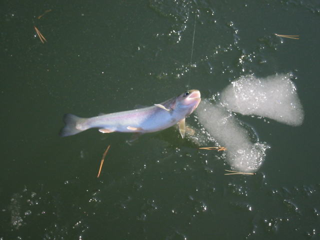 d0042500_11163260.jpg