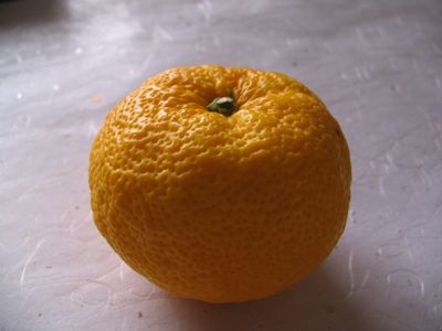 f0031400_1773861.jpg