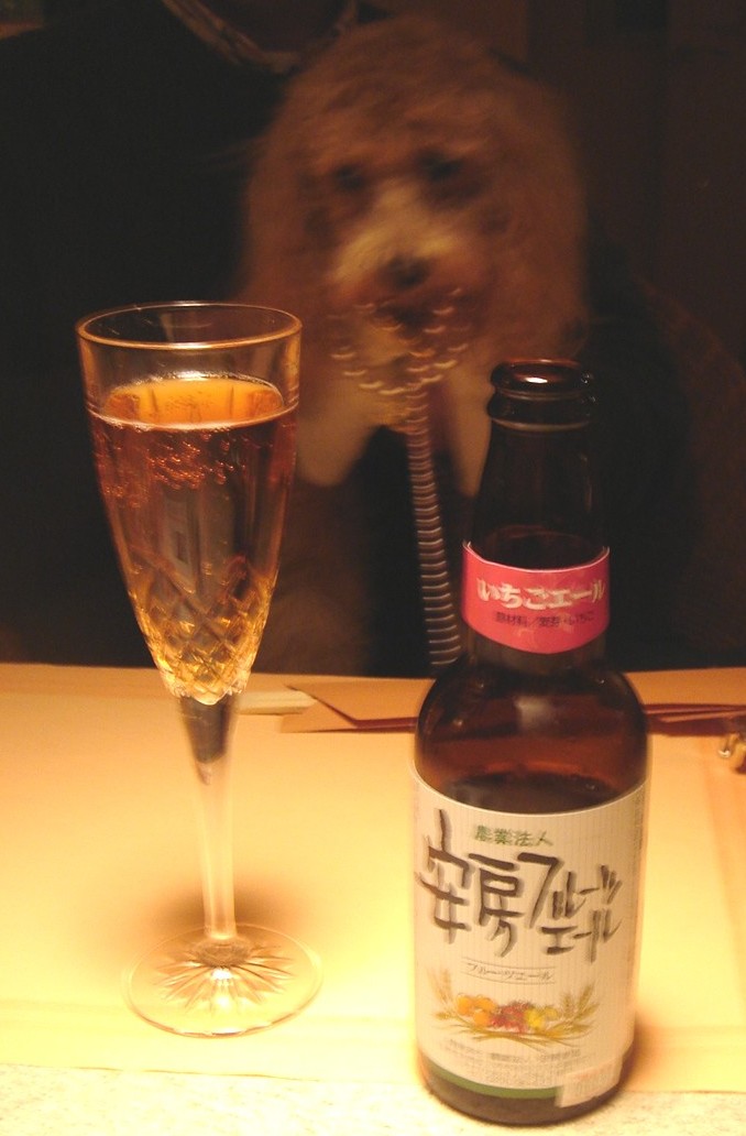 c0041207_13222658.jpg