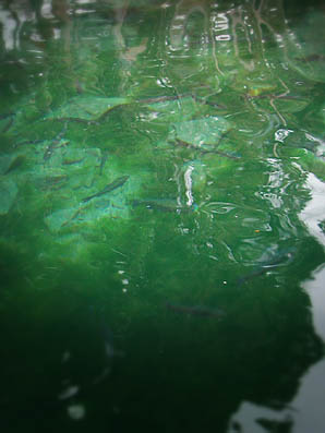 e0009009_22494373.jpg