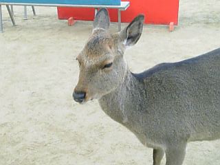 b0012010_10565536.jpg