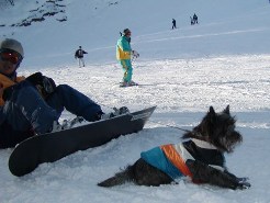 e0078510_23204733.jpg