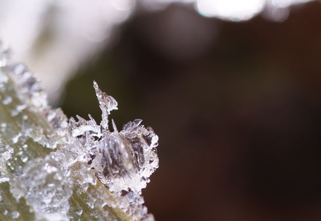 f0030527_0391041.jpg