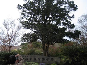 a0059328_4241261.jpg