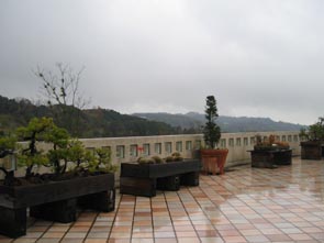 a0059328_4265642.jpg