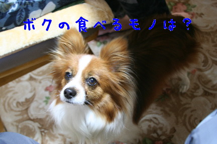 d0013149_955924.jpg