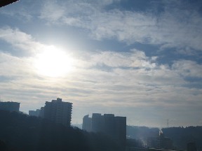 d0034659_004560.jpg