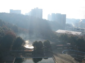 d0034659_01361.jpg