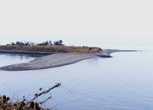 d0067165_196721.jpg