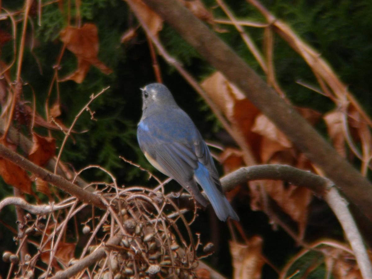 a0053771_18395150.jpg