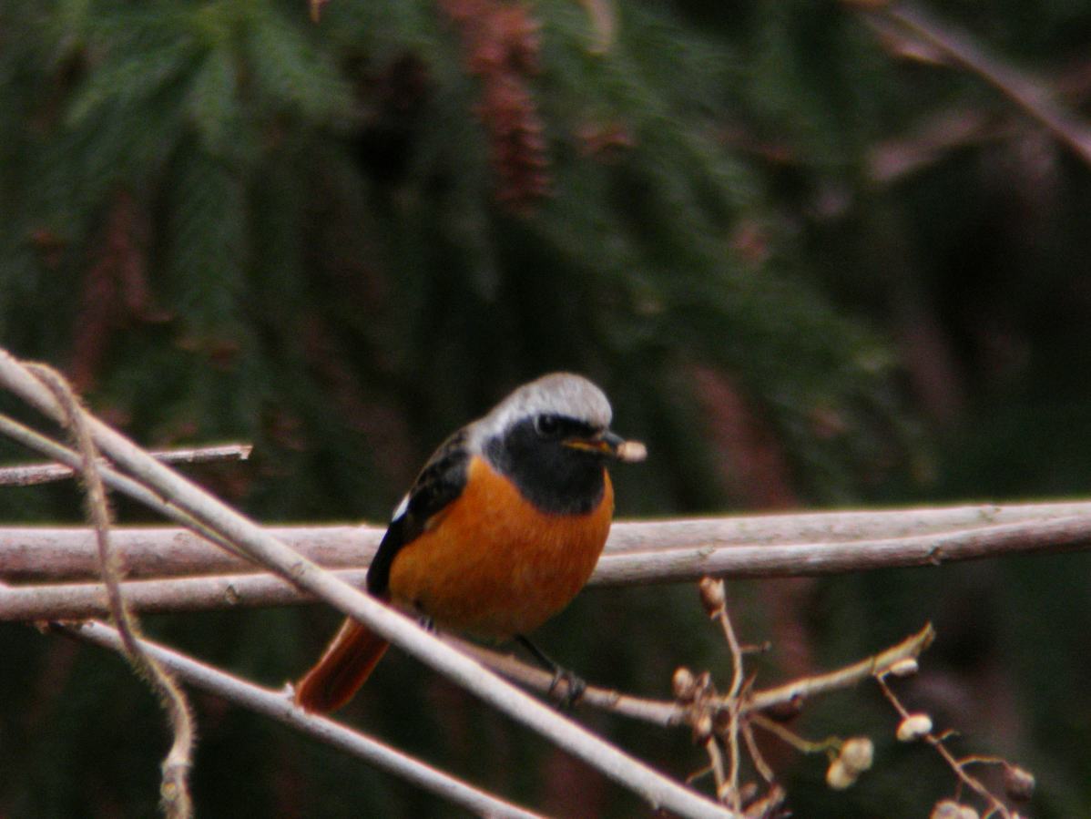a0053771_1842189.jpg