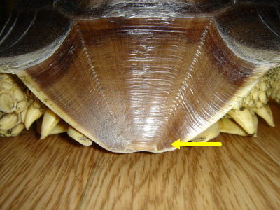 b0055276_061383.jpg