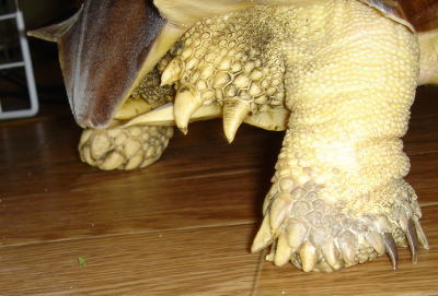 b0055276_062244.jpg