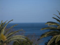 e0009584_1214472.jpg
