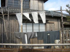 e0009584_129397.jpg