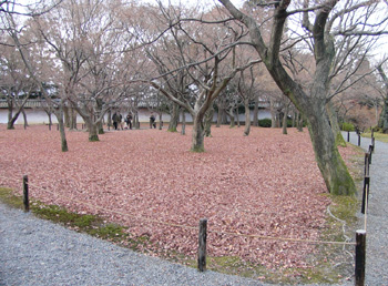b0014587_23225371.jpg