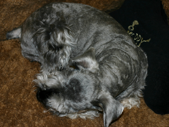 f0001895_2029631.jpg