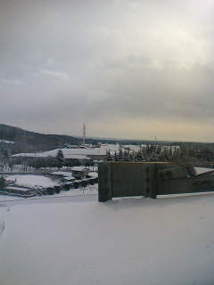 c0034396_1195283.jpg