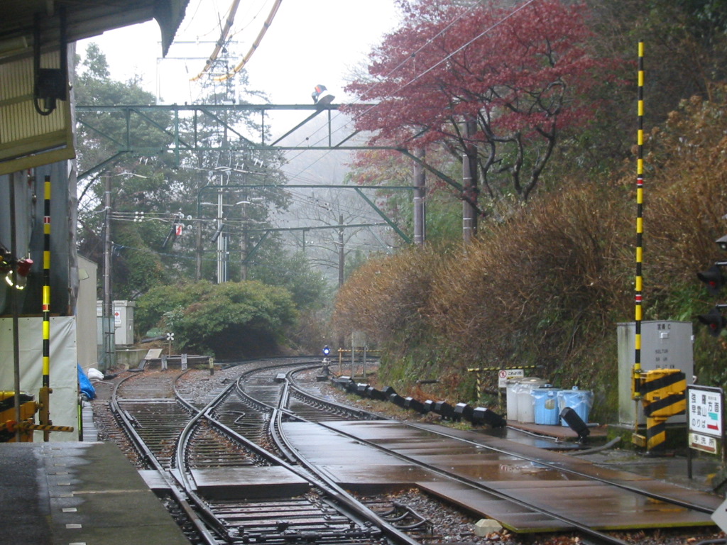 f0013998_13244484.jpg