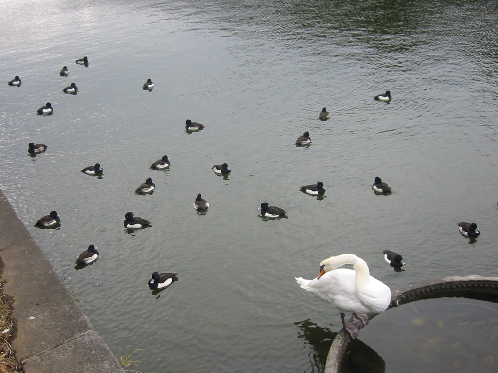 f0013998_13404137.jpg