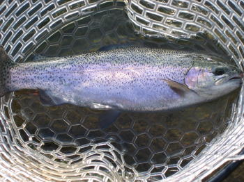 d0026200_23185795.jpg