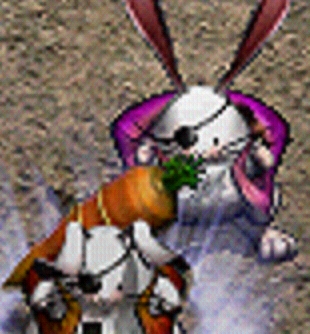 c0045001_2053261.jpg