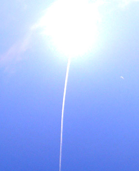 a0003618_1548322.jpg
