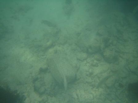 e0063923_20125245.jpg