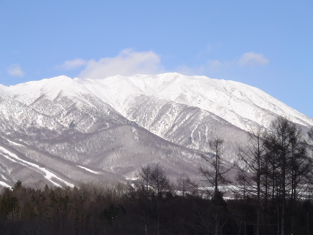 f0028123_1901843.jpg