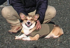 e0071225_22515291.jpg