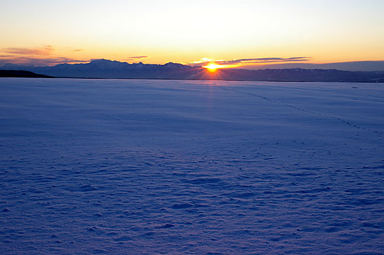 e0025030_1710748.jpg