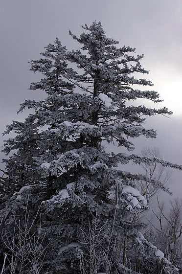 e0025030_173985.jpg